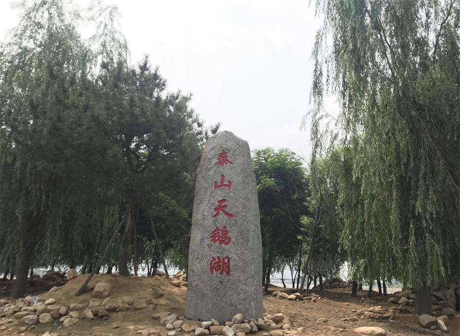 天鵝湖風(fēng)景區(qū)（泰山）速覽！(圖12)