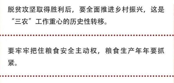 2020年中央農(nóng)村工作會議精神速覽！(圖2)